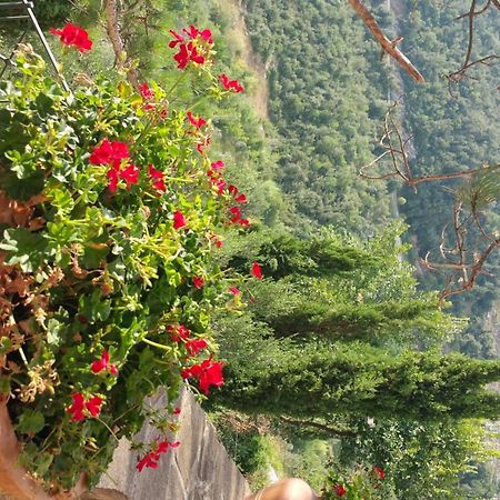 La Codarda country house Pescosolido Exterior foto